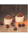 Pine Cone Scented Beechwood Ornament