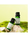 Long lasting Fragrance Essential Oils