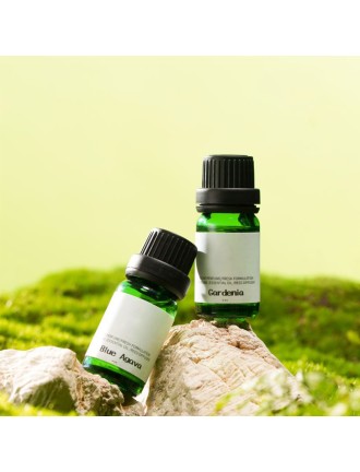 Long lasting Fragrance Essential Oils