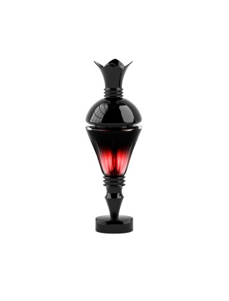 Double Bottle Floral Women's Perfume