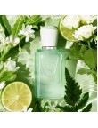 Jasmine & Grapefruit Essence Perfume