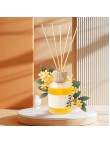 360° Long Lasting Fragrance Diffuser