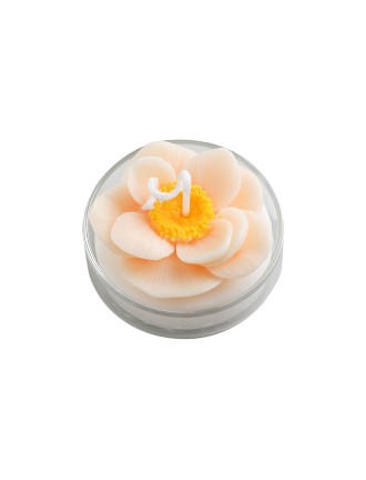 Artificial Succulent Scented Candles